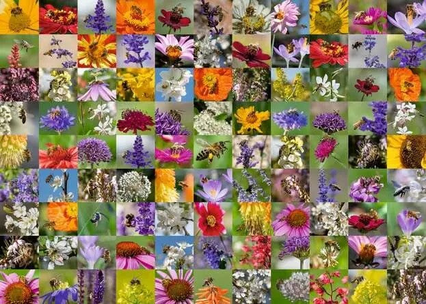Ravensburger Bee Collage 1000 Piece Jigsaw Puzzle