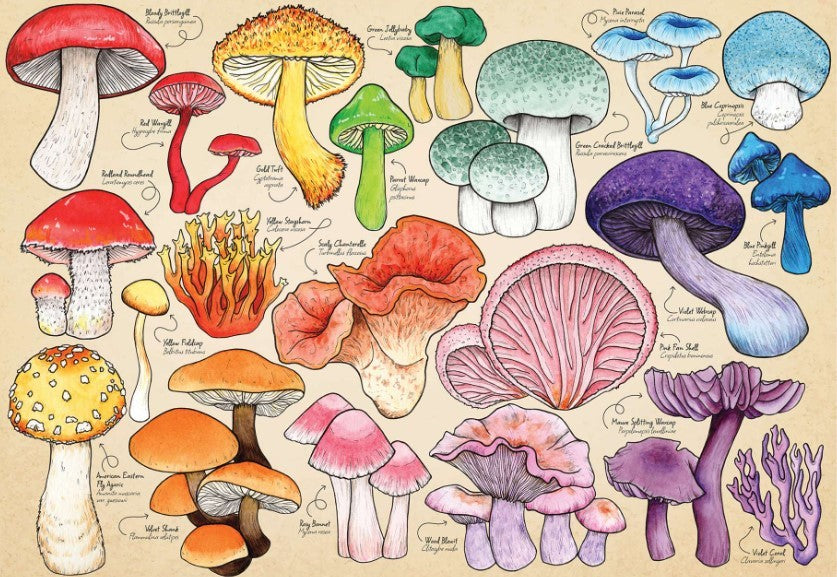 House Of Puzzles Mushroom Mania Puzzle Tube 150 Piece Jigsaw Puzzle Toys HP0794