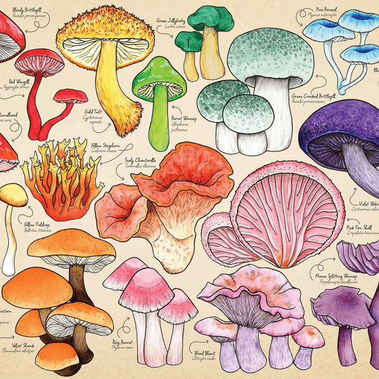 House Of Puzzles Mushroom Mania Puzzle Tube 150 Piece Jigsaw Puzzle Toys HP0794