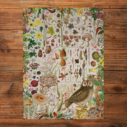Gibsons Games RHS Fall Flora 1000 Piece Jigsaw Puzzle Toys G7167