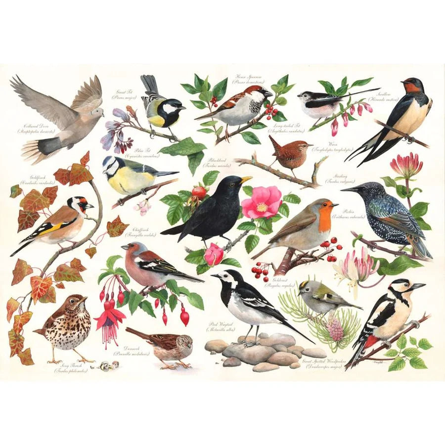 House Of Puzzles Birds In My Garden 1000 Piece Jigsaw Puzzle HP0471