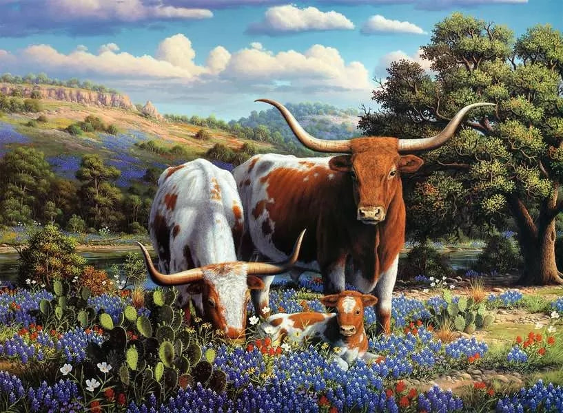 Ravensburger Loving Longhorns 500 Piece Jigsaw Puzzle 12000826