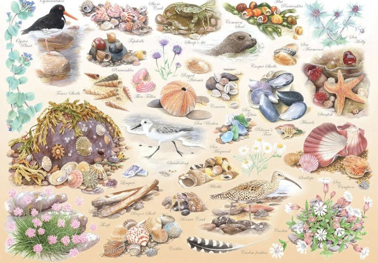 House Of Puzzles Sea Shore Big 500 Piece Jigsaw Puzzle Toys HP0851