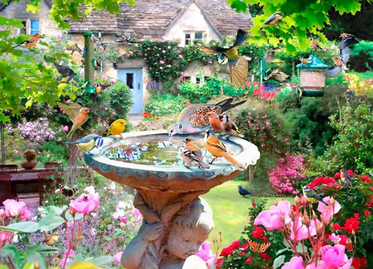 House Of Puzzles Summer Birds 1000 Piece Jigsaw Puzzle Toys HP0728