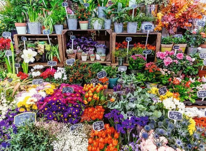 Ravensburger Flower Market, France 500 Piece Jigsaw Puzzle Toys