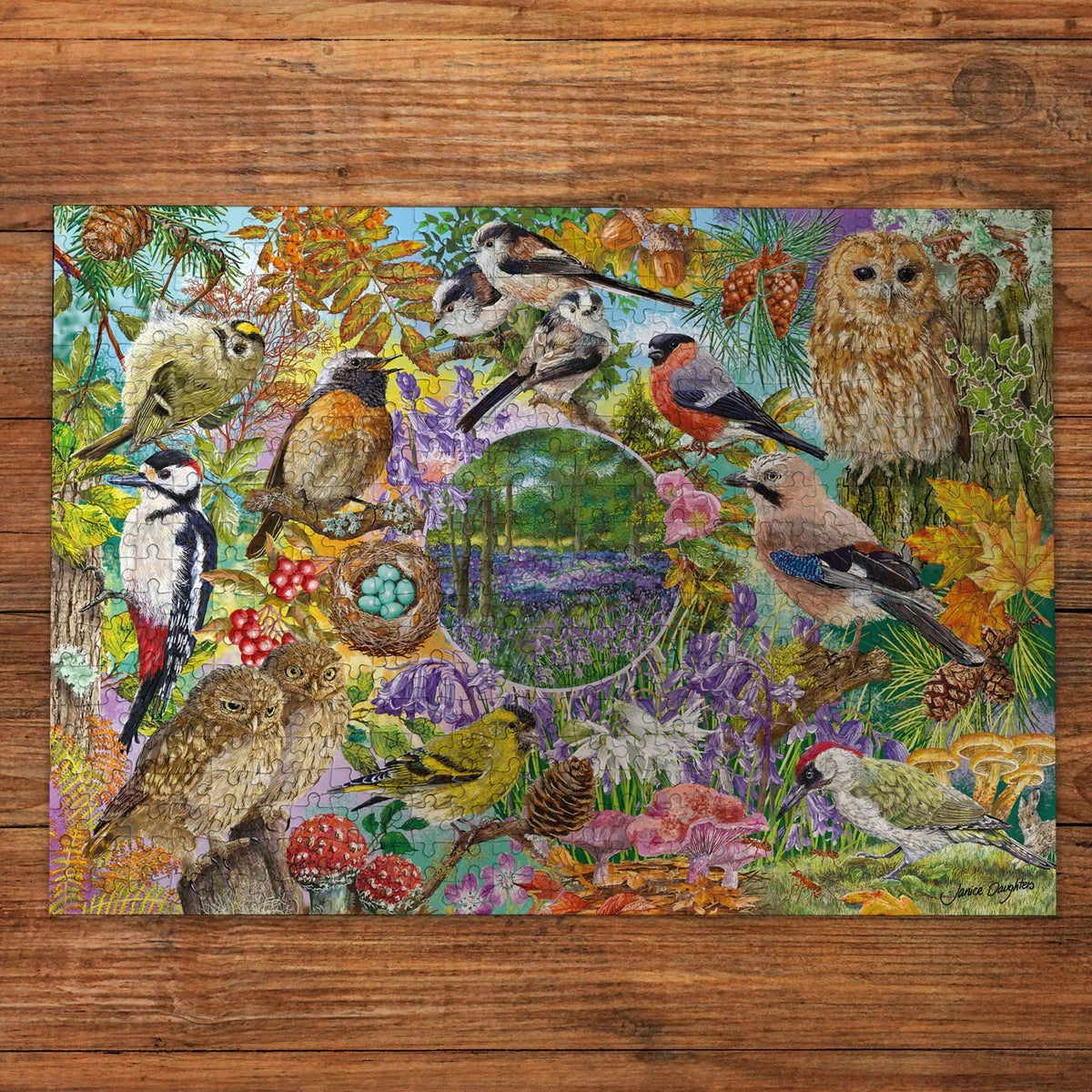 Gibsons Games RSPB Wings In The Wild 4 x 500 Piece Jigsaw Puzzle Toys G5074