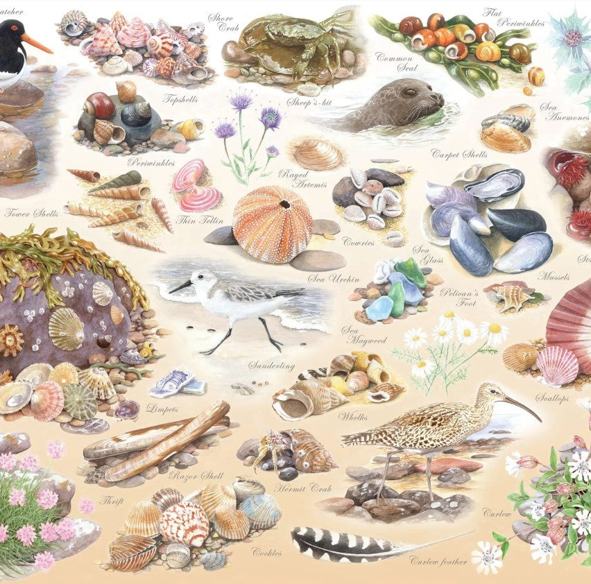 House Of Puzzles Sea Shore Big 500 Piece Jigsaw Puzzle Toys HP0851