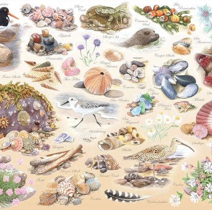 House Of Puzzles Sea Shore Big 500 Piece Jigsaw Puzzle Toys HP0851