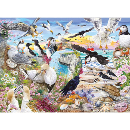 Gibsons Games RSPB Wings In The Wild 4 x 500 Piece Jigsaw Puzzle Toys G5074