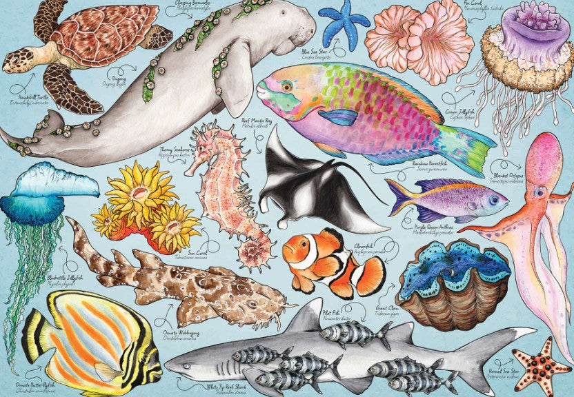 House Of Puzzles Great Barrier Reef 1000 Piece Puzzle Jigsaw Puzzle Toys HP0805