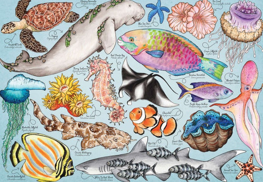 House Of Puzzles Great Barrier Reef 1000 Piece Puzzle Jigsaw Puzzle Toys HP0805