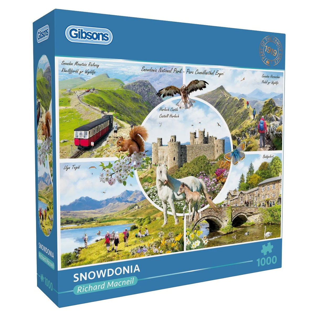 Gibsons Snowdonia 1000 Piece Jigsaw Puzzle G6463
