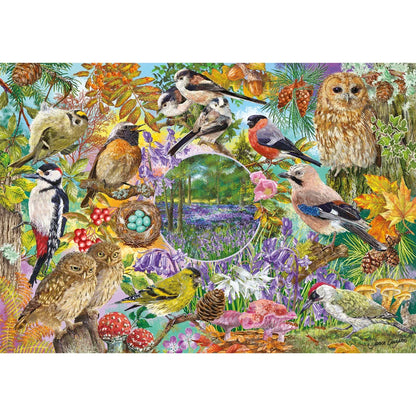 Gibsons Games RSPB Wings In The Wild 4 x 500 Piece Jigsaw Puzzle Toys G5074