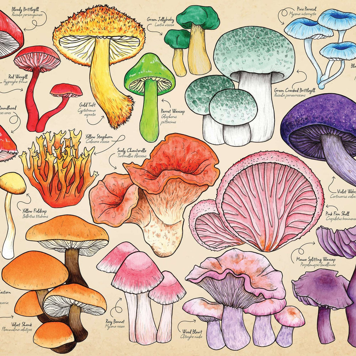 House Of Puzzles Mushroom Mania Puzzle Tube 150 Piece Jigsaw Puzzle Toys HP0794