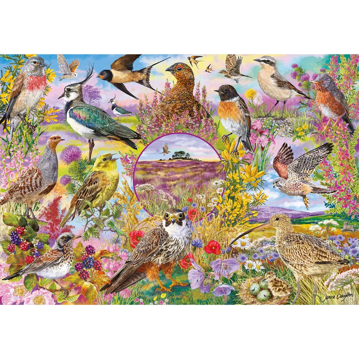 Gibsons Games RSPB Wings In The Wild 4 x 500 Piece Jigsaw Puzzle Toys G5074