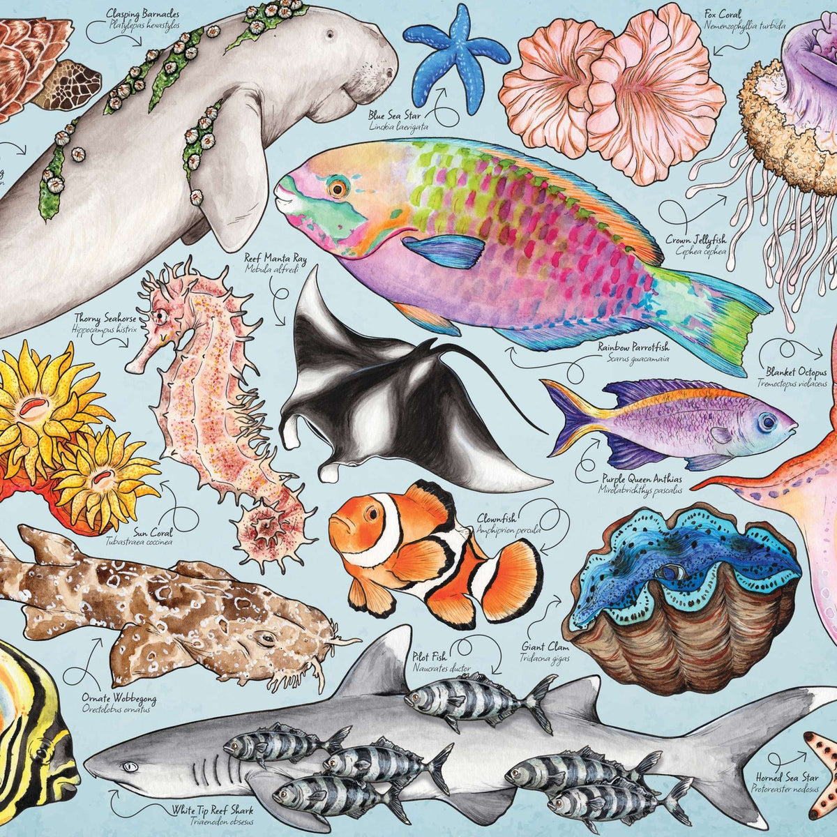 House Of Puzzles Great Barrier Reef Tube 150 Piece Jigsaw Puzzle Toys HP0803