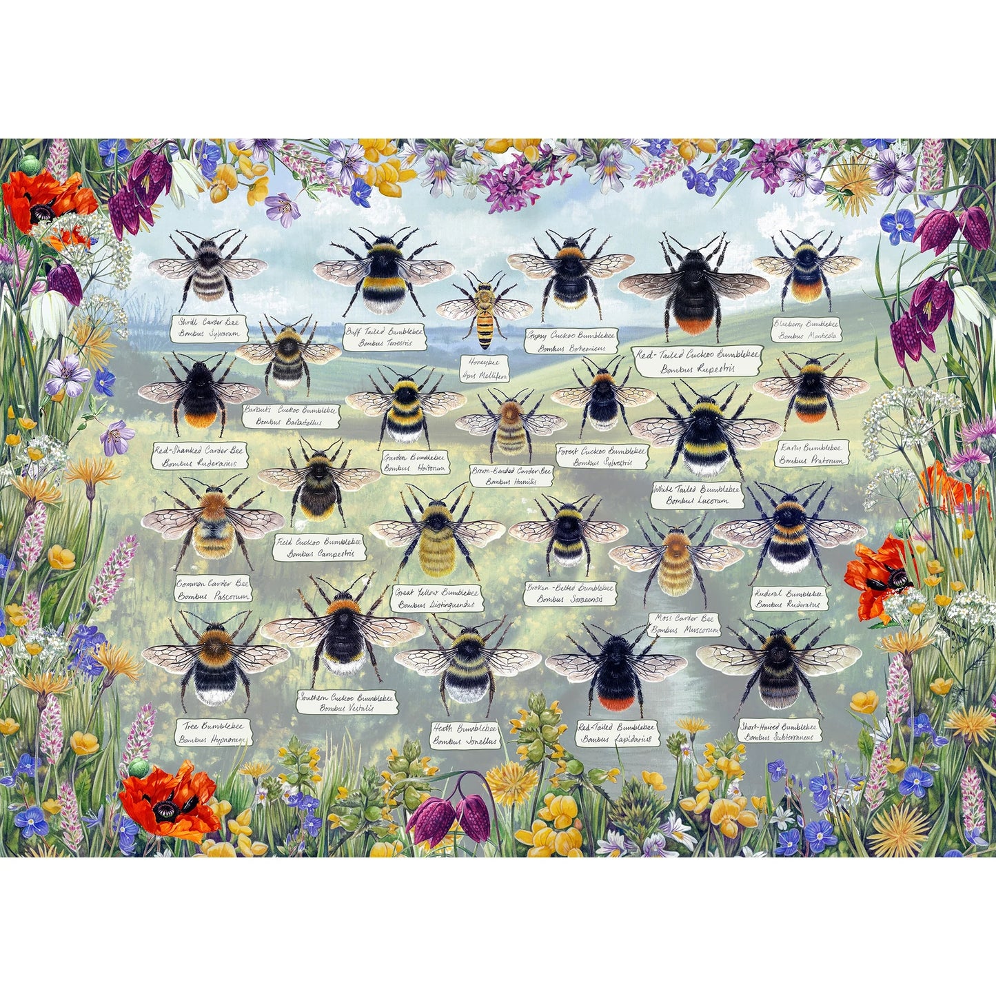 Gibsons Brilliant Bees 1000 Piece Jigsaw Puzzle G6343