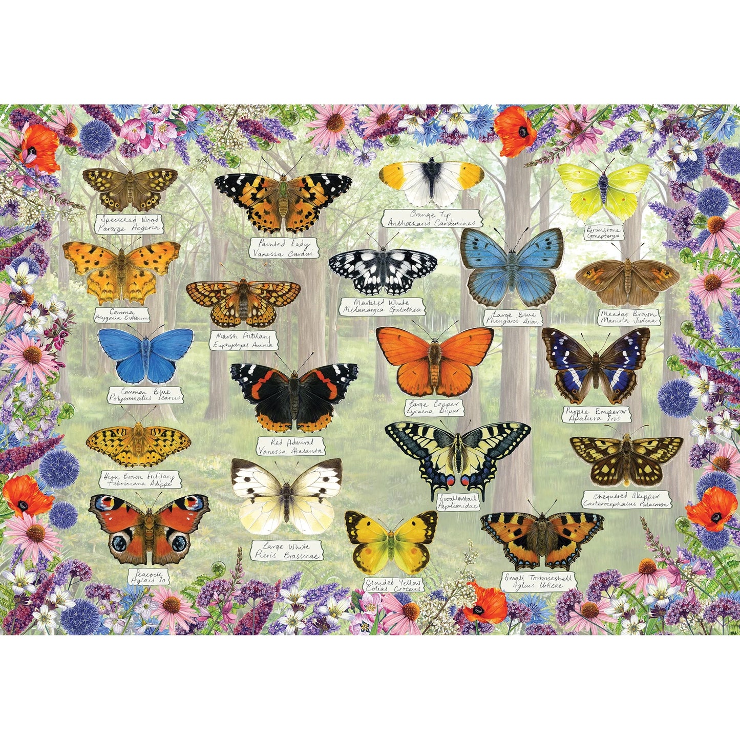 Gibsons Beautiful Butterflies 1000 Piece Jigsaw Puzzle G6366