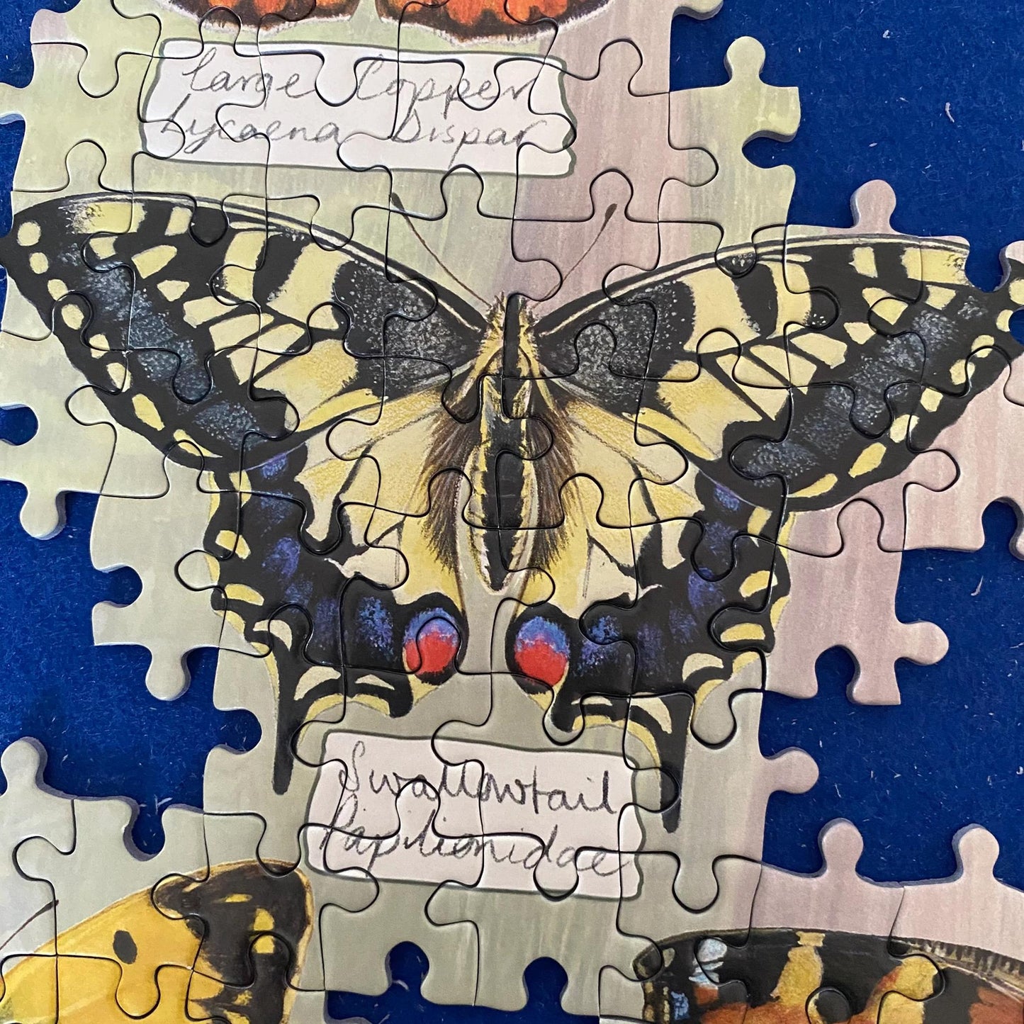 Gibsons Beautiful Butterflies 1000 Piece Jigsaw Puzzle G6366