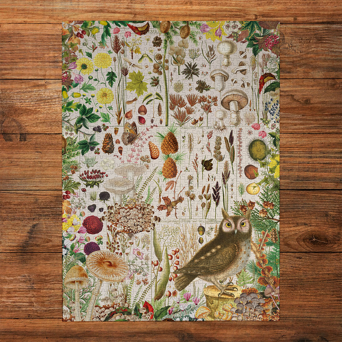 Gibsons Games RHS Fall Flora 1000 Piece Jigsaw Puzzle Toys G7167