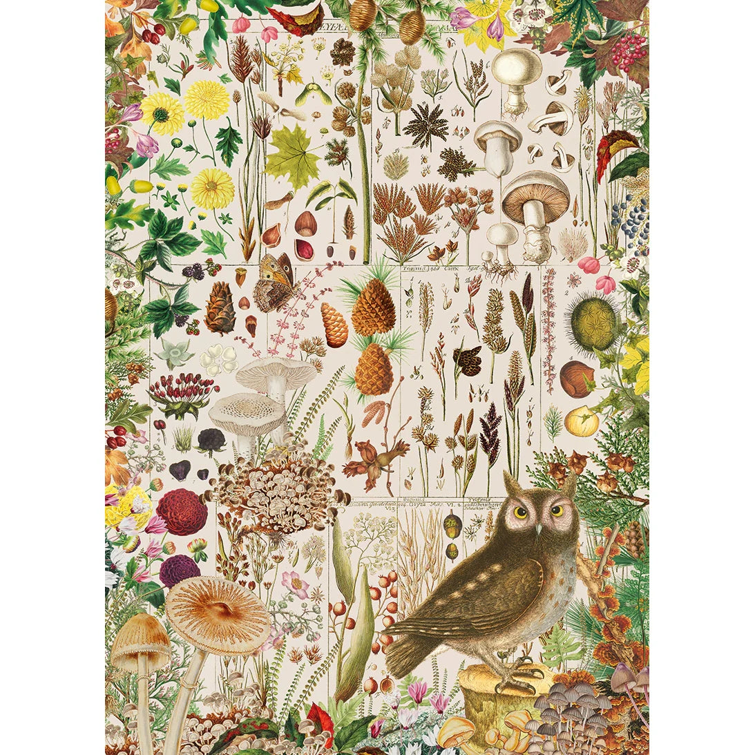 Gibsons Games RHS Fall Flora 1000 Piece Jigsaw Puzzle Toys G7167