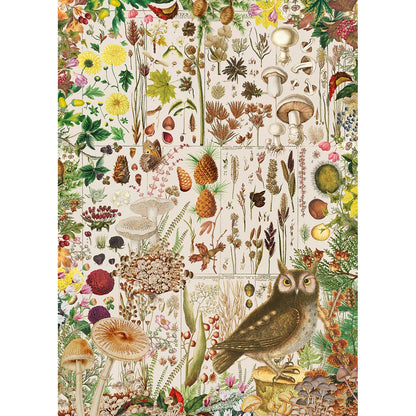 Gibsons Games RHS Fall Flora 1000 Piece Jigsaw Puzzle Toys G7167