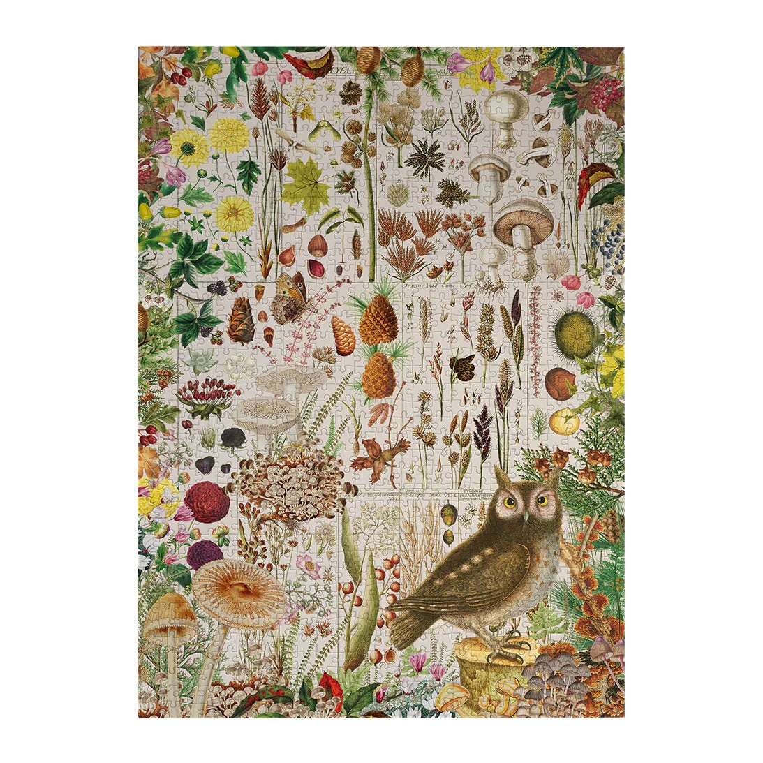 Gibsons Games RHS Fall Flora 1000 Piece Jigsaw Puzzle Toys G7167