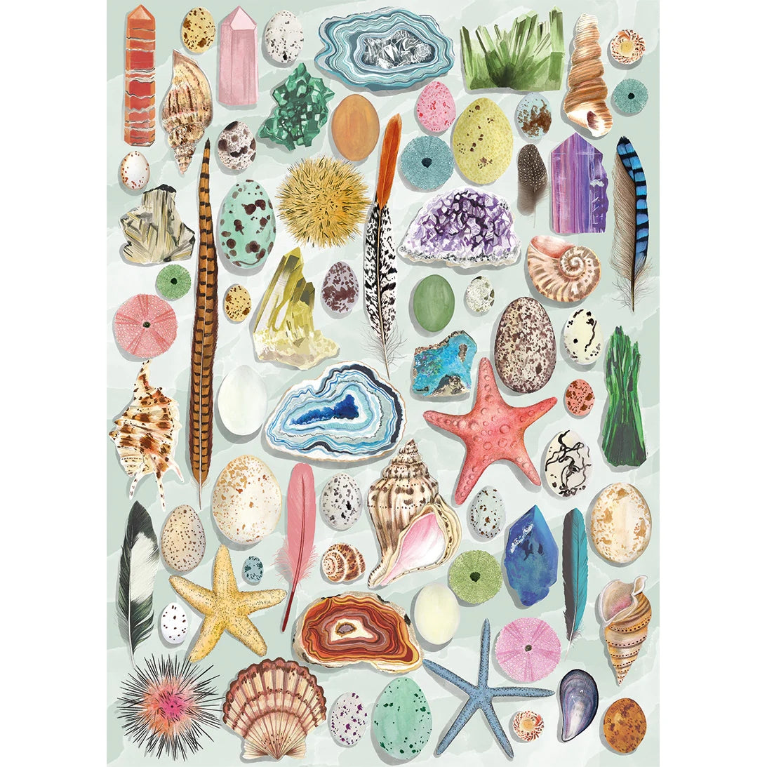 Gibsons The Art File: Natural Curiosities 1000 Piece Jigsaw Puzzle G7220
