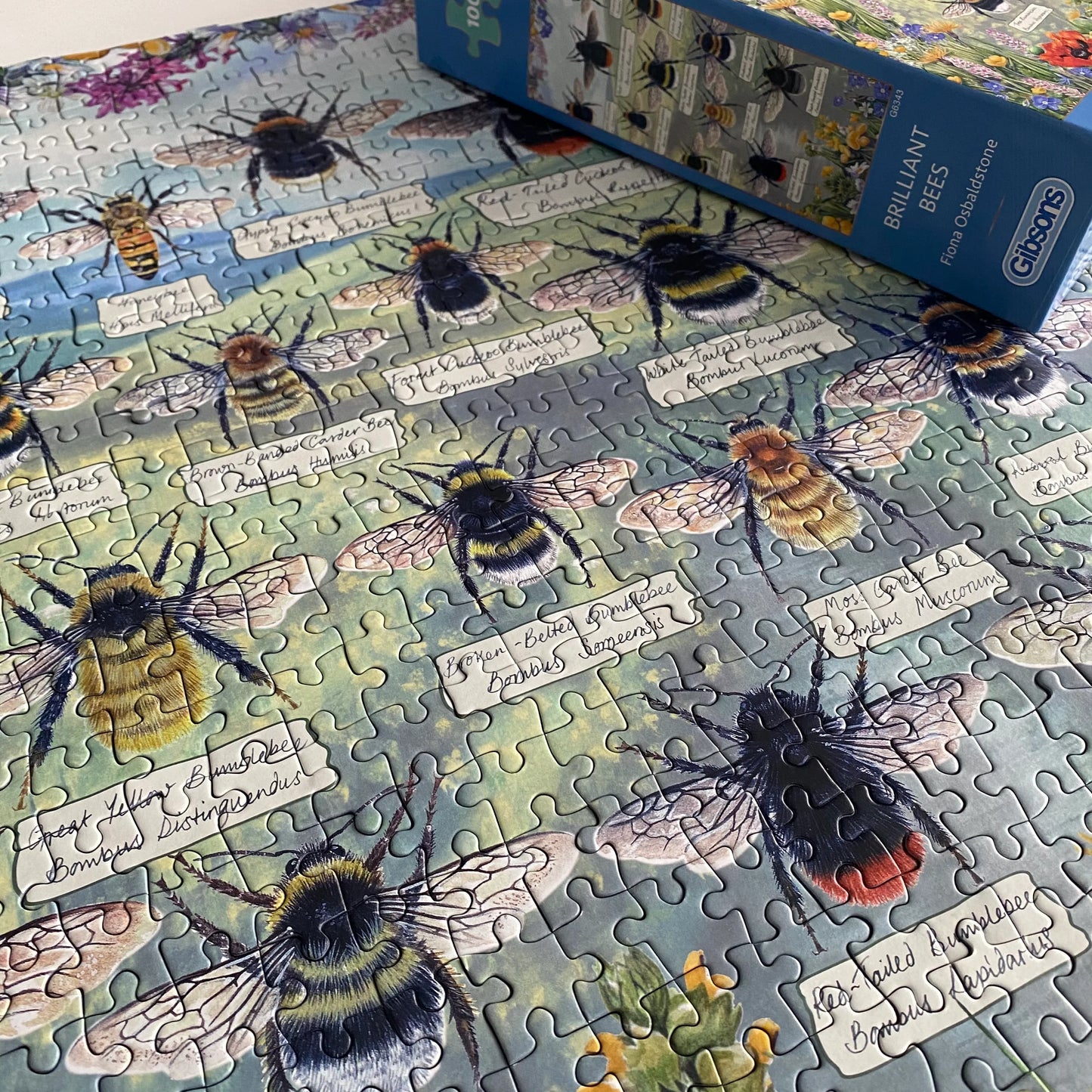 Gibsons Brilliant Bees 1000 Piece Jigsaw Puzzle G6343