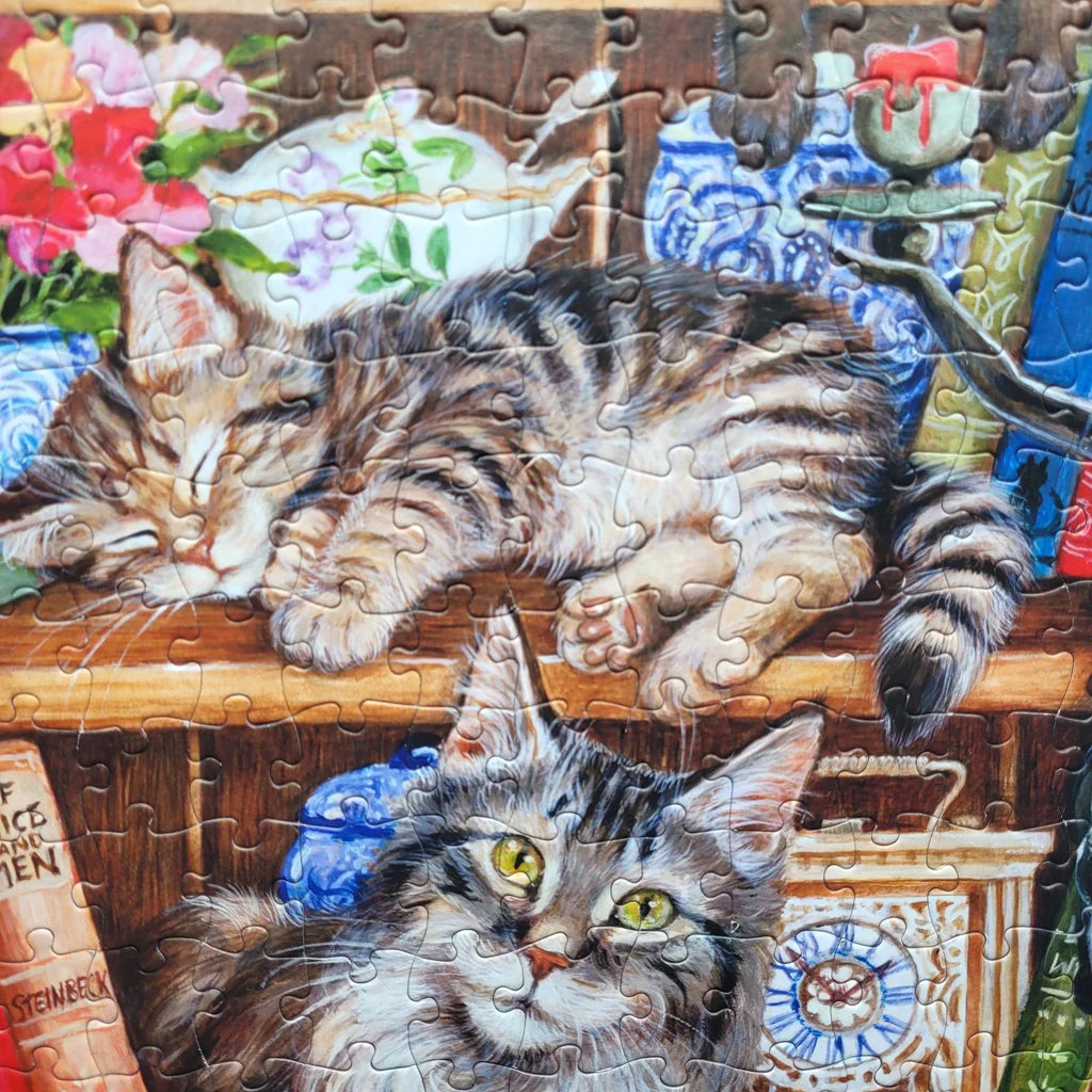 Gibsons Puss Back In Books 500XL Piece Jigsaw Puzzle G3560