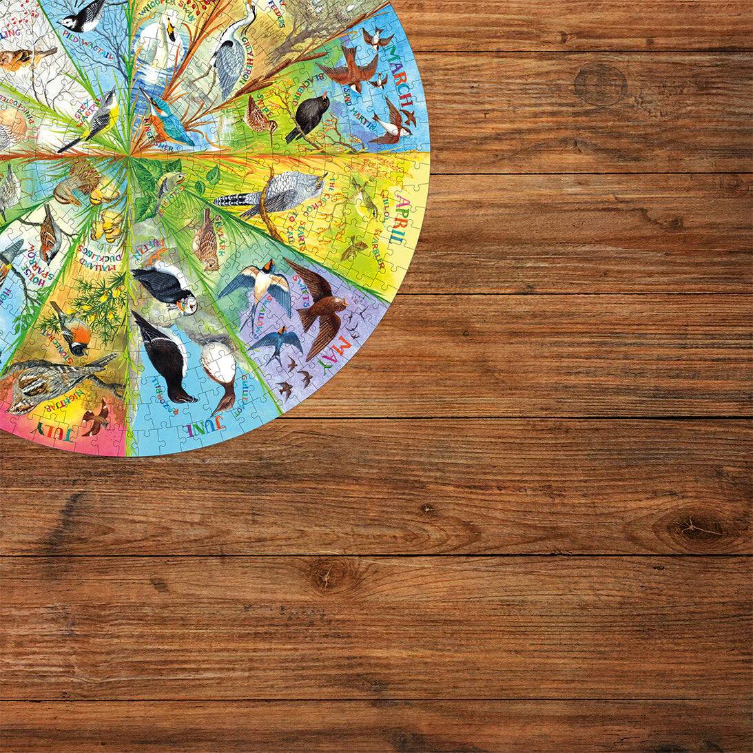 Gibsons RSPB: Birds Of The Year 500 Piece Circular Jigsaw Puzzle G3706