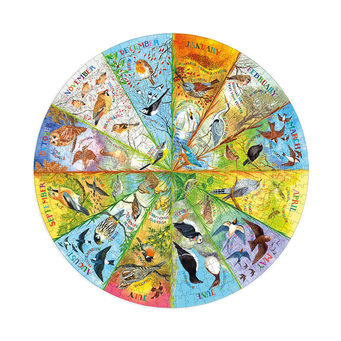 Gibsons RSPB: Birds Of The Year 500 Piece Circular Jigsaw Puzzle G3706