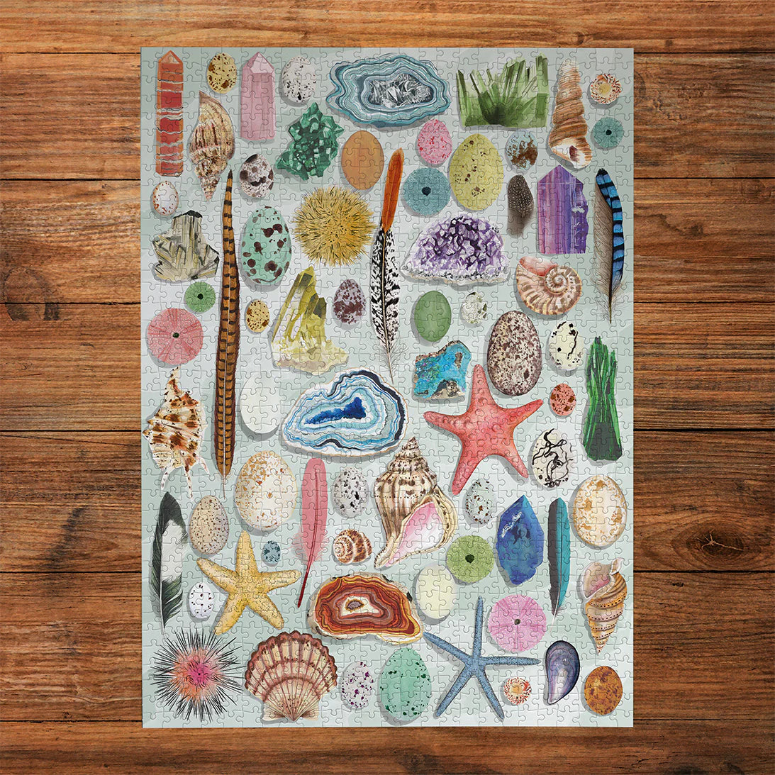 Gibsons The Art File: Natural Curiosities 1000 Piece Jigsaw Puzzle G7220